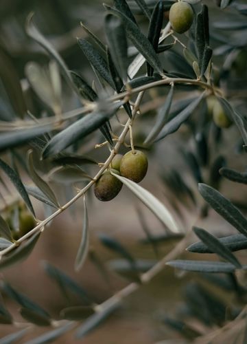 emre-ruqoemvplzq-unsplash