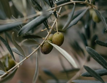 emre-ruqoemvplzq-unsplash