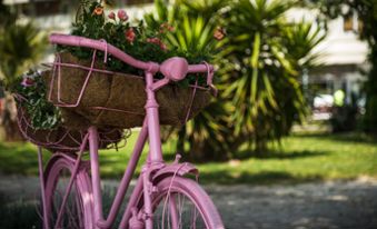 pixabay-bike-fiori-02
