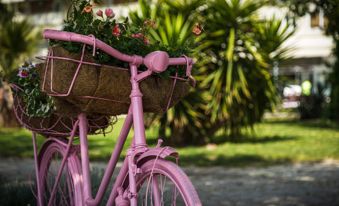 pixabay-bike-fiori-02