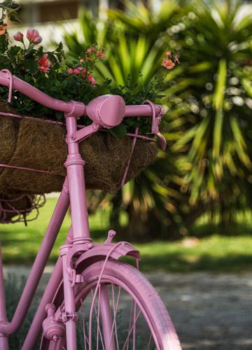 pixabay-bike-fiori-02