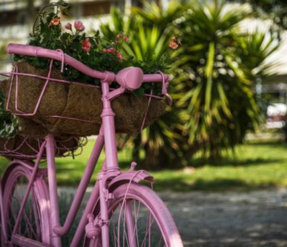 pixabay-bike-fiori-02