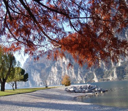 villa-alberta-torbole-garda-rnature-collection-ingarda38