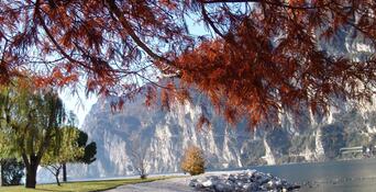 Passeggiata autunnale lungo il Lago di Garda, con foglie rosse sugli alberi, un prato verde e vista sul lago e sulle montagne circostanti.
