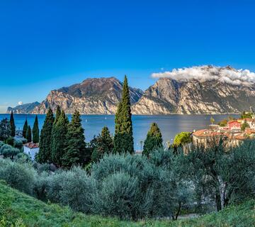 Vista su Torbole sul Lago di Garda con ulivi, cipressi, case e pareti rocciose sulla sponda opposta.