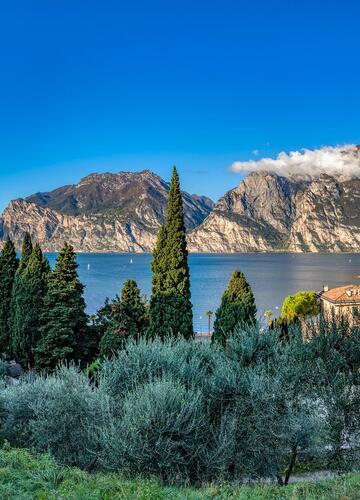View of Torbole on Lake Garda with olive trees, cypresses, houses and cliffs on the opposite shore.