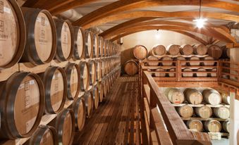 villa-alberta-torbole-c-invecchiamento-01