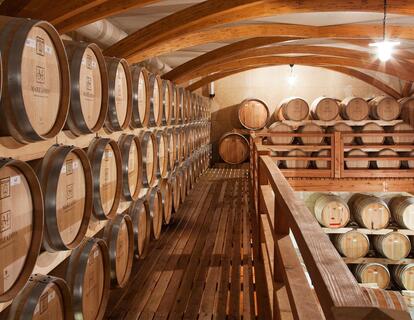 Wine cellar with numerous wooden barrels and a vaulted ceiling.