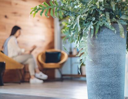 Zona relax con due poltrone davanti a una parete in legno illuminata da una luce calda e una grande pianta verde in primo piano.