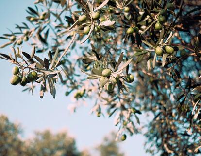 emre-9sdh6pf2g-u-unsplash
